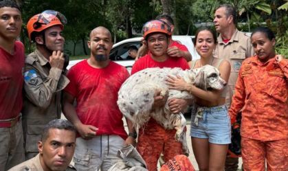 Cachorro da cantora Anitta se assusta com fogos, cava buraco na mansão e é resgatado por bombeiros no RJ