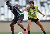 Botafogo enfrenta o São Paulo no Engenhão para confirmar título do Brasileirão
