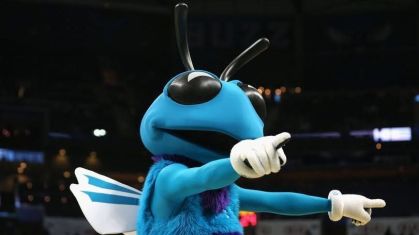 Hugo, mascote do Charlotte Hornets. equipe da NBA