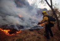 Incêndios em Los Angeles: Mais de 5.200 bombeiros combatem um dos focos, diz chefe