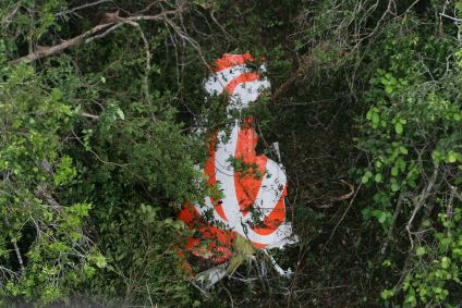 Cauda do Boeing 737 da Gol em área de mata no MT; avião fazia o voo 1907, que caiu e deixou 154 mortos