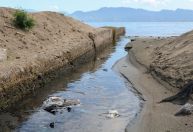Surto de virose em SP: Sabesp realizará testes com fumaça e corante em esgotos irregulares de praias do litoral