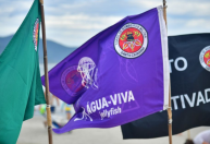 Santa Catarina registra 2,8 mil ataques de águas-vivas em uma semana