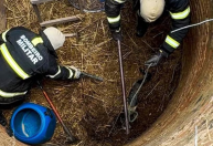 Bombeiros resgatam raposa presa em poço desativado