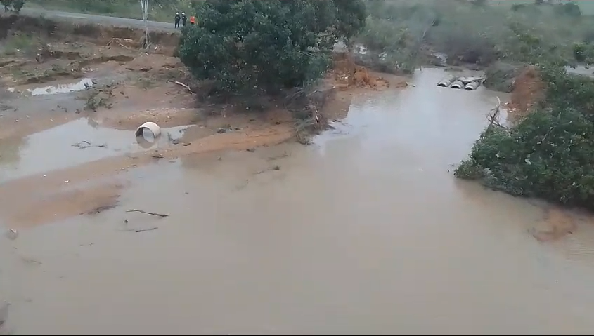 Capturar 5