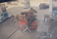 Homem é preso após atropelar cavalo e atacar homem com facão em posto de gasolina