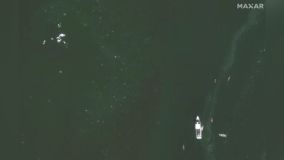 Imagens aéreas da Maxar mostram destroços de aeronaves após colisão entre helicóptero e avião nos Estados Unidos