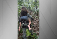 Sobrevivente de queda de helicóptero tem alta em SP