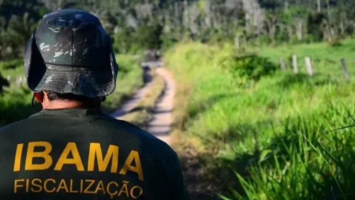 Funcionário do Ibama com camisa da autarquia, fazendo vistoria em região de mata