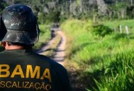 Chefia e técnicos do Ibama racham sobre resgate animal na Foz do Amazonas