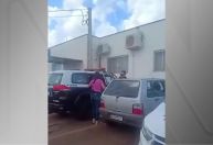 Mulher suspeita de envenenar e matar 26 gatos é presa em SP