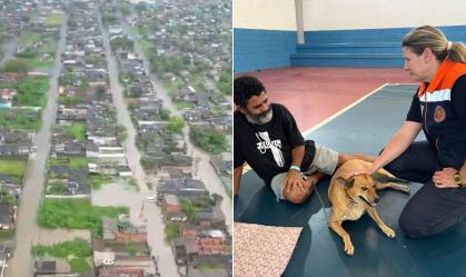 Enchentes em Peruíbe (SP): mais de 60 animais foram resgatados durante desastre