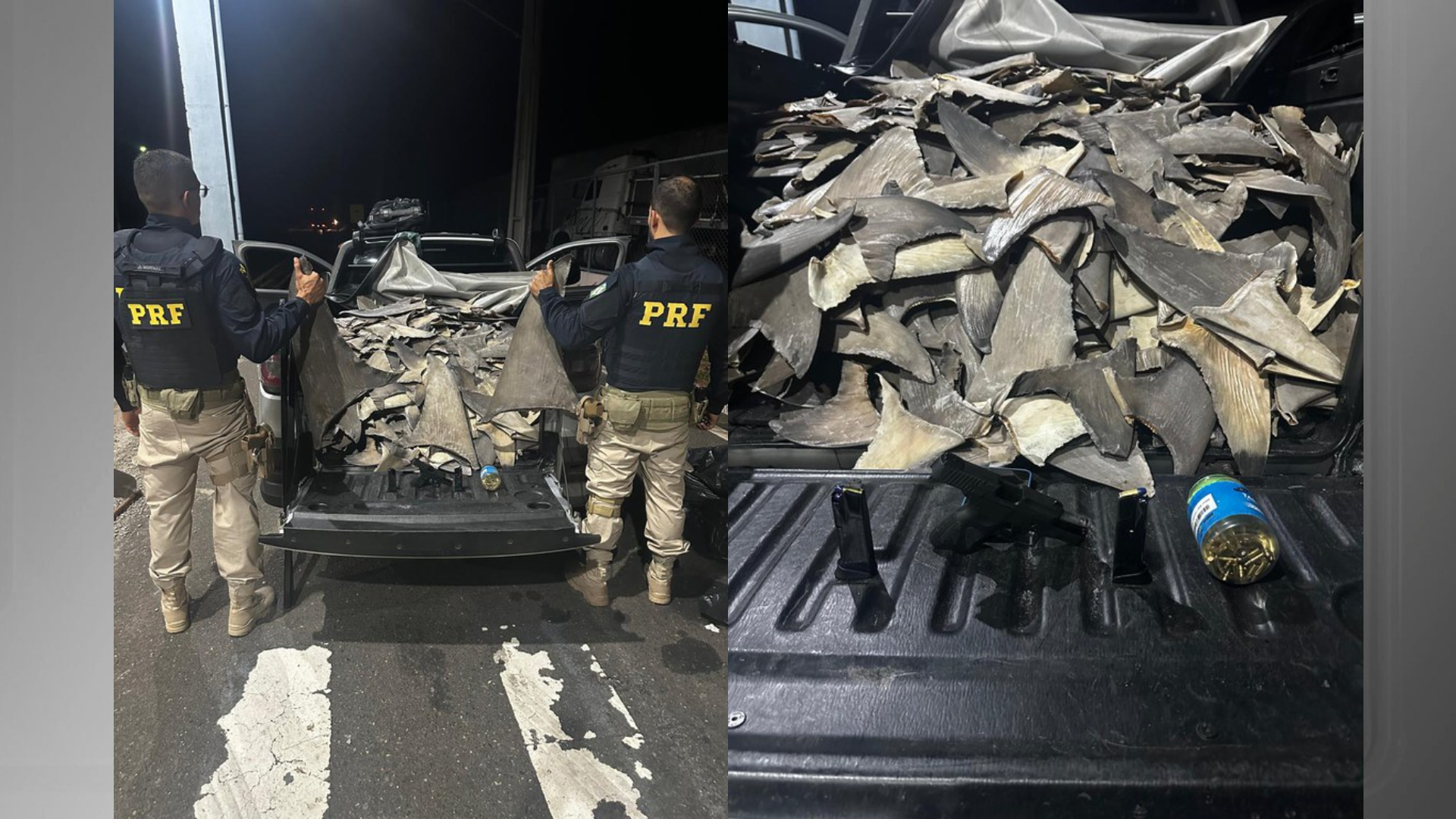 Imagem mostra carga apreendida pelos agentes