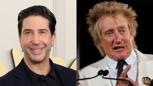Montagem com David Schwimmer e Rod Stewart