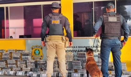 PRF apreende 237 kg de cocaína em caminhão que transportava mudança no MS