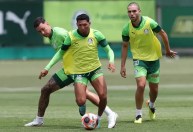 Palmeiras toma decisão sobre usar jogadores da Copinha no Paulistão