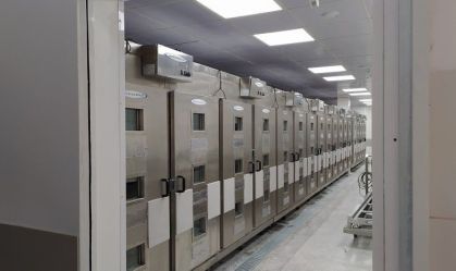 Bolo envenenado: entenda o trabalho da perícia na exumação e análise química