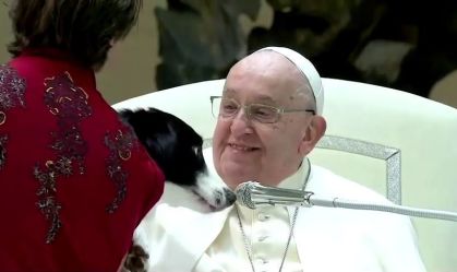 Vídeo: Circo se apresenta durante audiência geral semanal do Papa Francisco