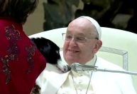 Vídeo: Circo se apresenta durante audiência geral semanal do Papa Francisco