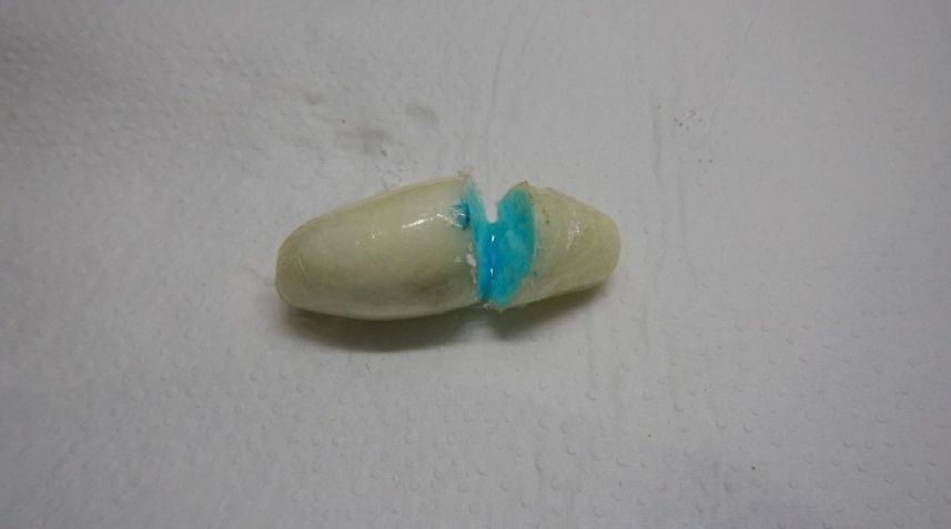 A Polícia Federal utiliza um reagente para identificar a cocaína na cápsula com a cor azul. • Reprodução
