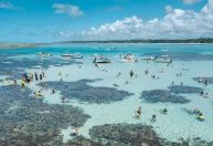 "Caribe Brasileiro": Justiça suspende turismo na Lagoa Azul, em Maragogi