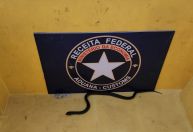 Receita apreende duas cobras da espécie real-mexicana-negra em Fortaleza
