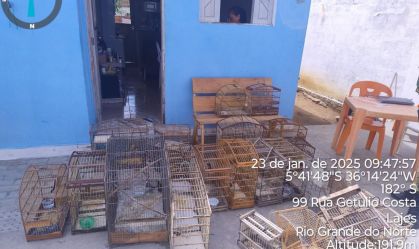 PM apreende 19 pássaros em cativeiro no RN