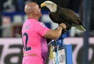 Implante peniano faz Lazio perder águia símbolo do clube; entenda