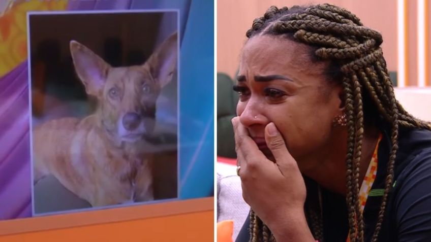 Aline chora com saudade da cachorrinha, Alcione • Reprodução/Globoplay