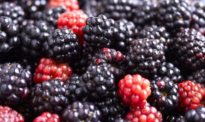 Amora protege contra diabetes e envelhecimento: veja 5 outros benefícios