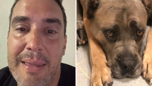 André Marques lamenta morte de cachorrinha