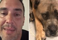 André Marques lamenta morte de cachorrinha: "Espero te encontrar em breve"