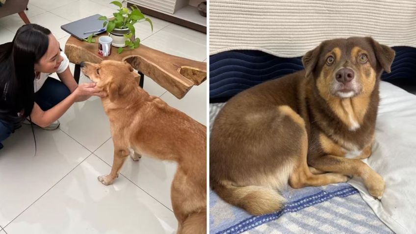 Arleane e Marcelo cuidam de Leona e Mel • Reprodução/Gshow/Juliana Pimenta