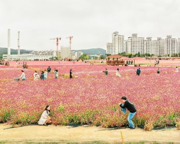 Em um parque público na cidade sul-coreana de Yangju, visitantes tiram fotos em um festival dedicado à vibrante flor de amaranto, conhecida por sua resiliência e flores coloridas