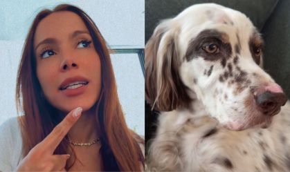 cachorro anitta