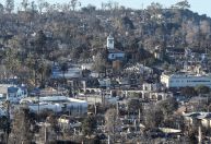 Incêndios em Los Angeles: Voluntários se mobilizam para salvar animais