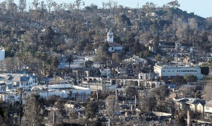 Incêndios em Los Angeles: Voluntários se mobilizam para salvar animais