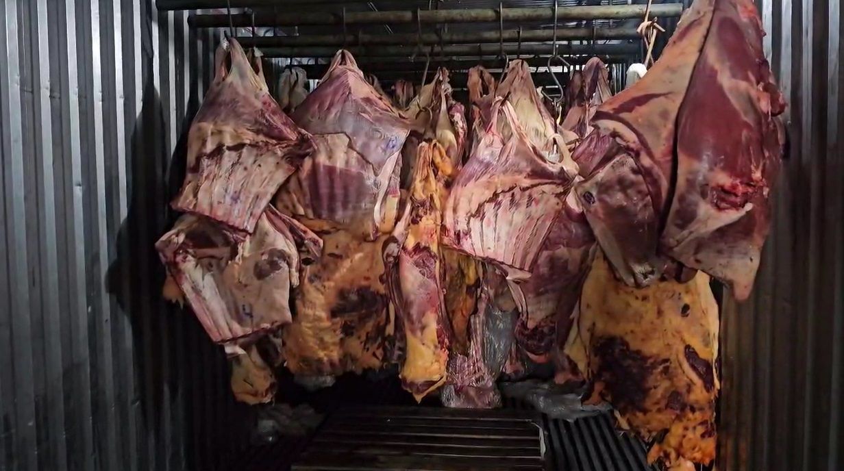 carne