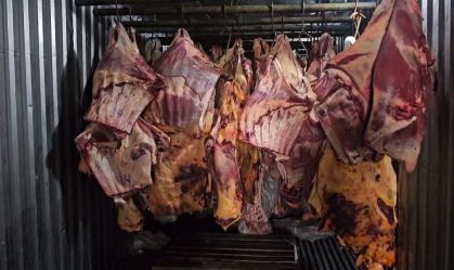 Quais os riscos à saúde de comer carne contaminada?