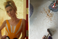Carolina Dieckmann diz que macacos invadiram sua cozinha: "Quebraram tudo"