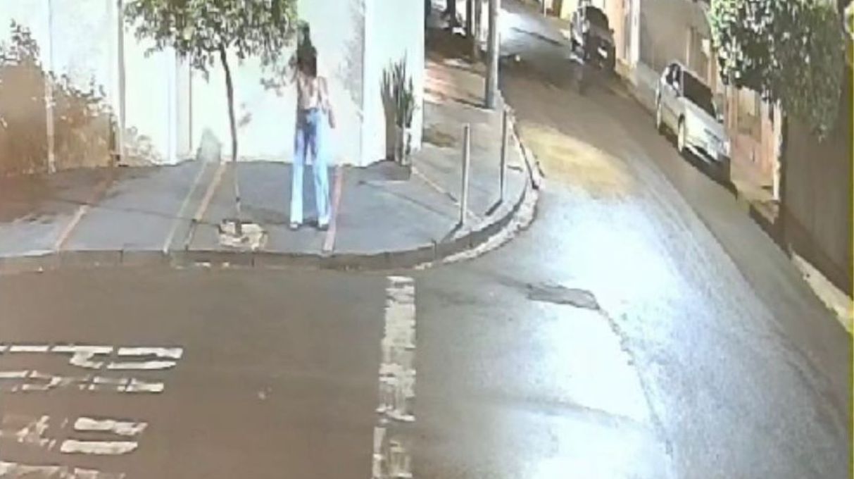 Vídeo mostra momento em que suspeita envenena e mata gatos em SP