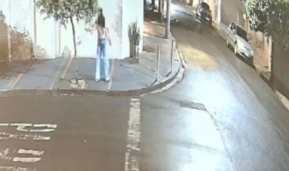 Vídeo mostra momento em que suspeita envenena e mata gatos em SP