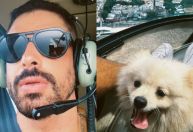 Cauã Reymond passeia de helicóptero com o cachorro: "Especial"