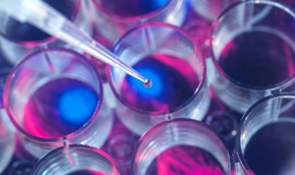 Células-tronco têm grande potencial no tratamento de doenças vasculares