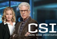 Além de BBB e "C.S.I.": 7 séries e programas que completam 25 anos em 2025
