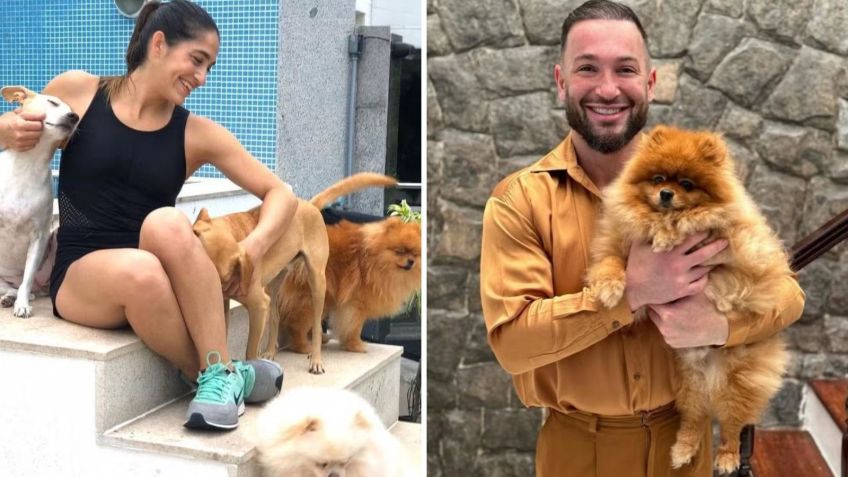 Daniele e Diego Hypolito têm seis dogs • Instagram/Daniele Hypolito/Diego Hypolito