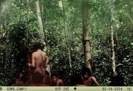 Funai divulga imagens de indígenas isolados em Rondônia e Mato Grosso