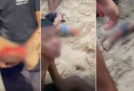Vídeo: banhistas são atacados por cardume de peixe-espada no RJ