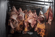 Frigorífico comprou toneladas de carne apodrecida de empresa do RJ