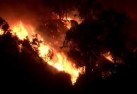 Incêndios deixam 400 mil sem energia na Califórnia; outros milhares são ameaçados